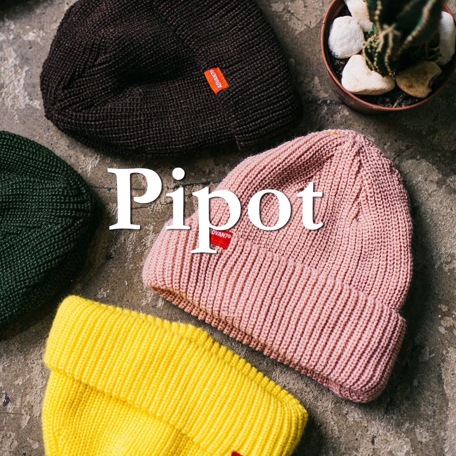 Pipot